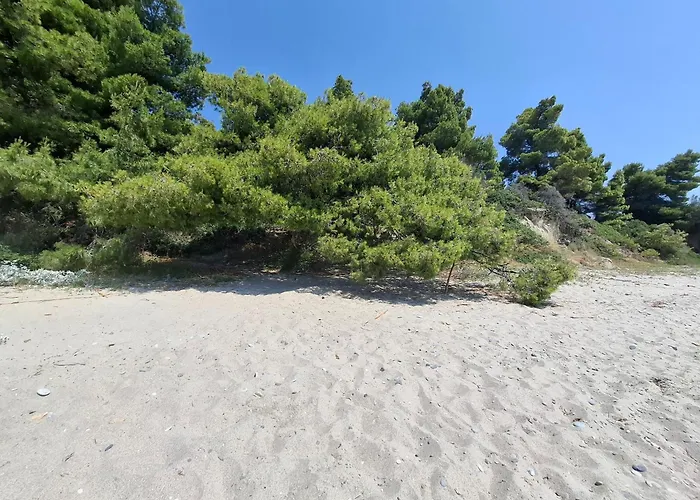 Marine Sea View Halkidiki Case de vacanță