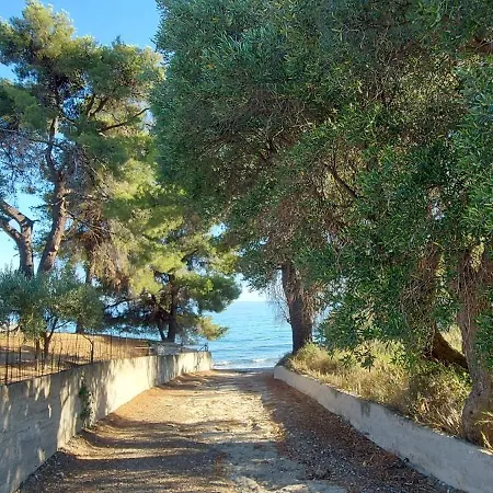 Marine Sea View Halkidiki *
