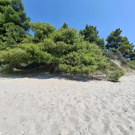 Marine Sea View Halkidiki Σπίτι διακοπών