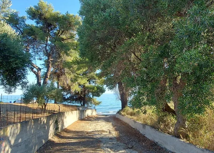 Marine Sea View Halkidiki *